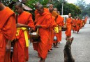 Monks in Luang Prabang