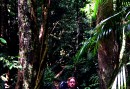 Always sweaty to trek in the rainforest