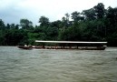 By boat uo the river to Kenong Rimba