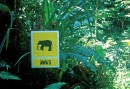 Crosswalk for elephants