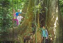 Excursion in the rain forest