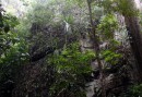 High limestone mountains rise in the forest