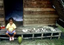 Sea shell trader