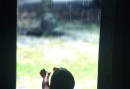 Stealing rain is fun