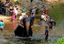You get to bathe with elephants
