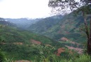 Burn-beathing agriculture, Muong Lai