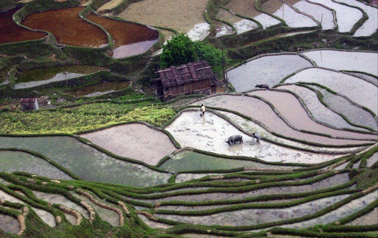 Farming in the spring in Southern China
