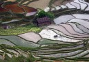 Farming in the spring in Southern China