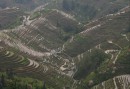 Landscape created by humans