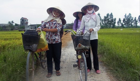 Cykla i Vietnam