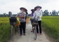 Cykla i Vietnam