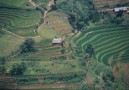 Terassodling i norra Vietnam