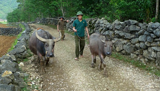 Northern Vietnam
