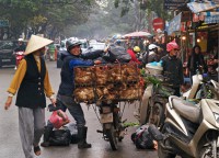 Vietnam från norr till söder