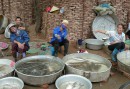 Liten fiskmarknad i Bac Ninh