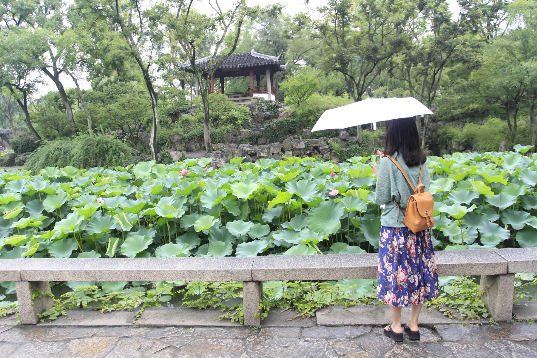 Grönskande trädgårdar i Suzhou