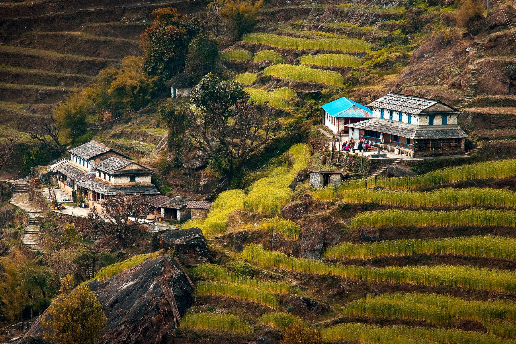 Vacker utsikt under en lättare vandring i Himalaya