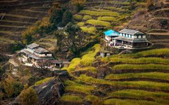 Vacker utsikt under en lättare vandring i Himalaya