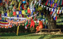 Munk som ber vid världsarvet Lumbini