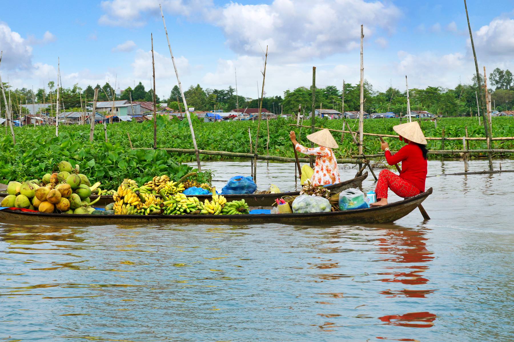 Fruktransport i Mekongdeltat