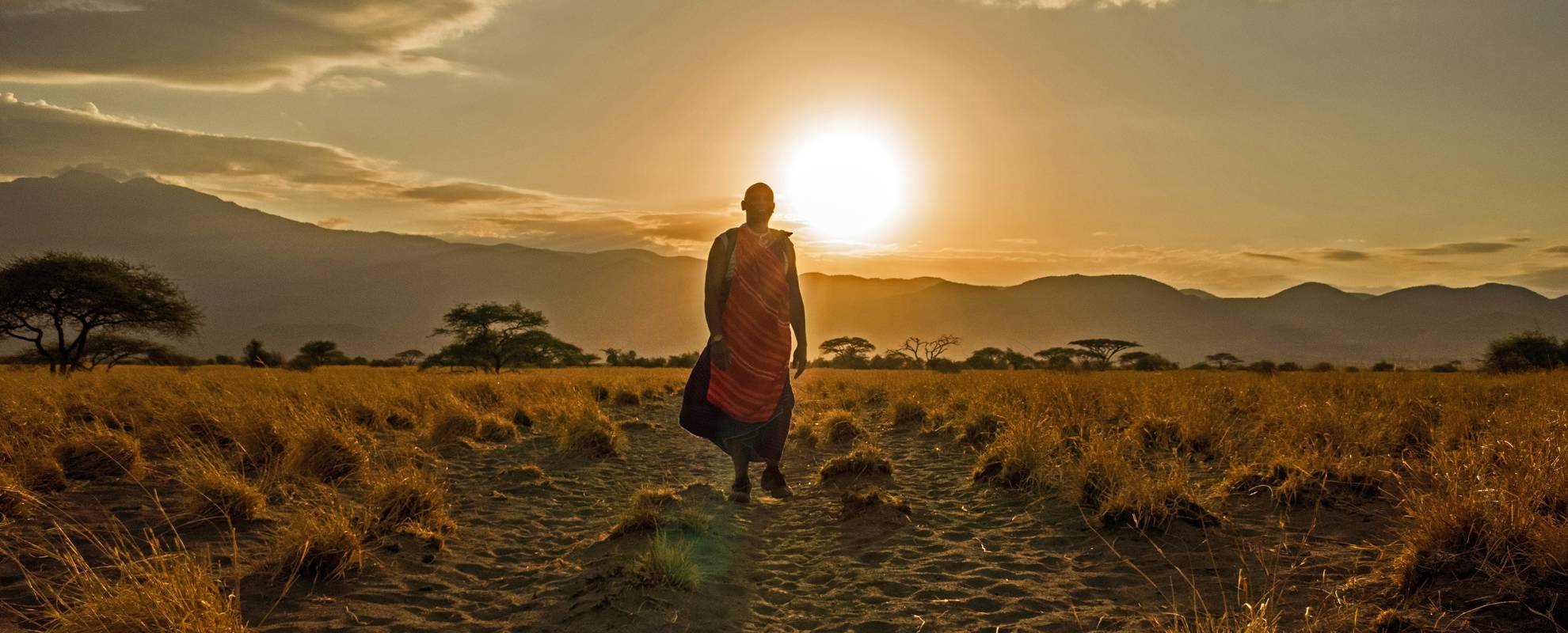 Skymning på savannen i norra Tanzania