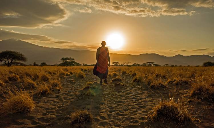 Skymning på savannen i norra Tanzania