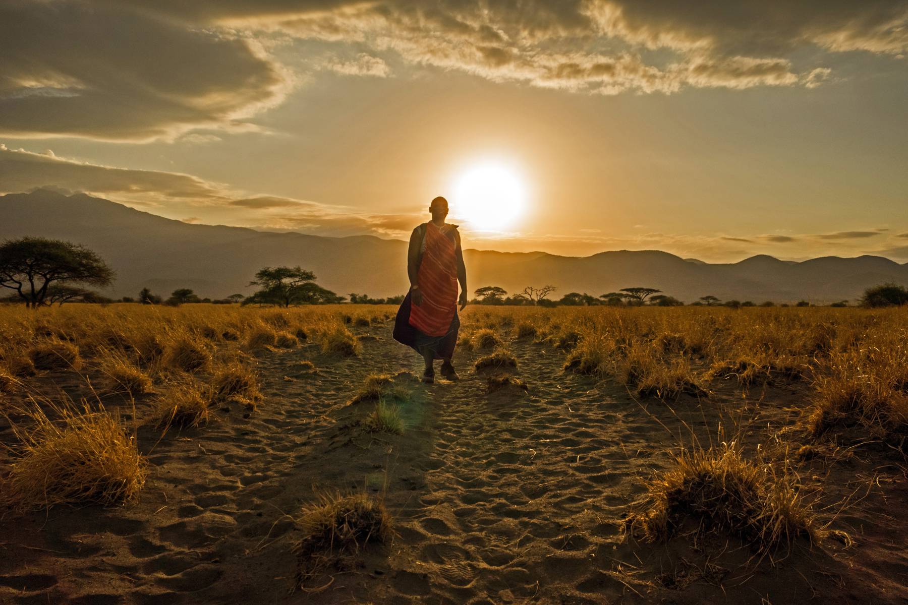 Skymning på savannen i norra Tanzania