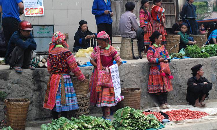 Flower Hmong