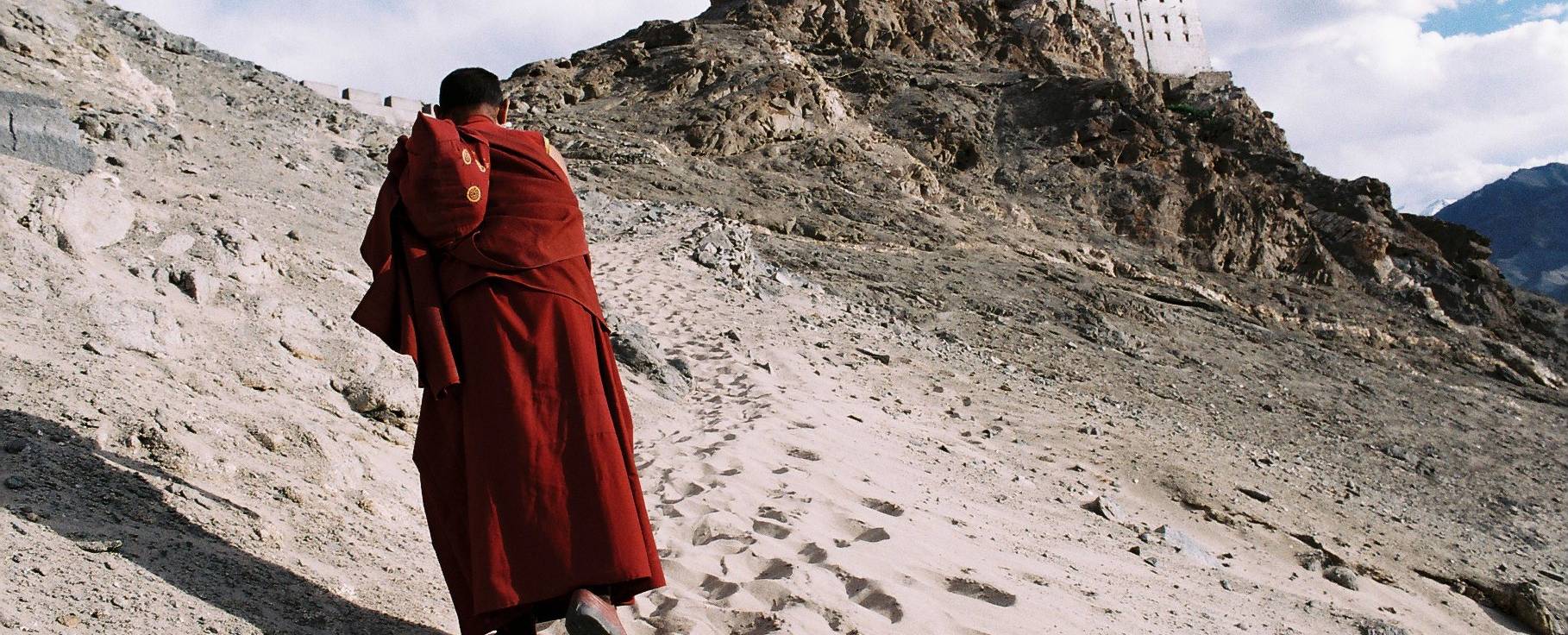 Munk vid Thiktse Gompa