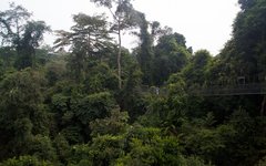 Välbyggda hängbroar