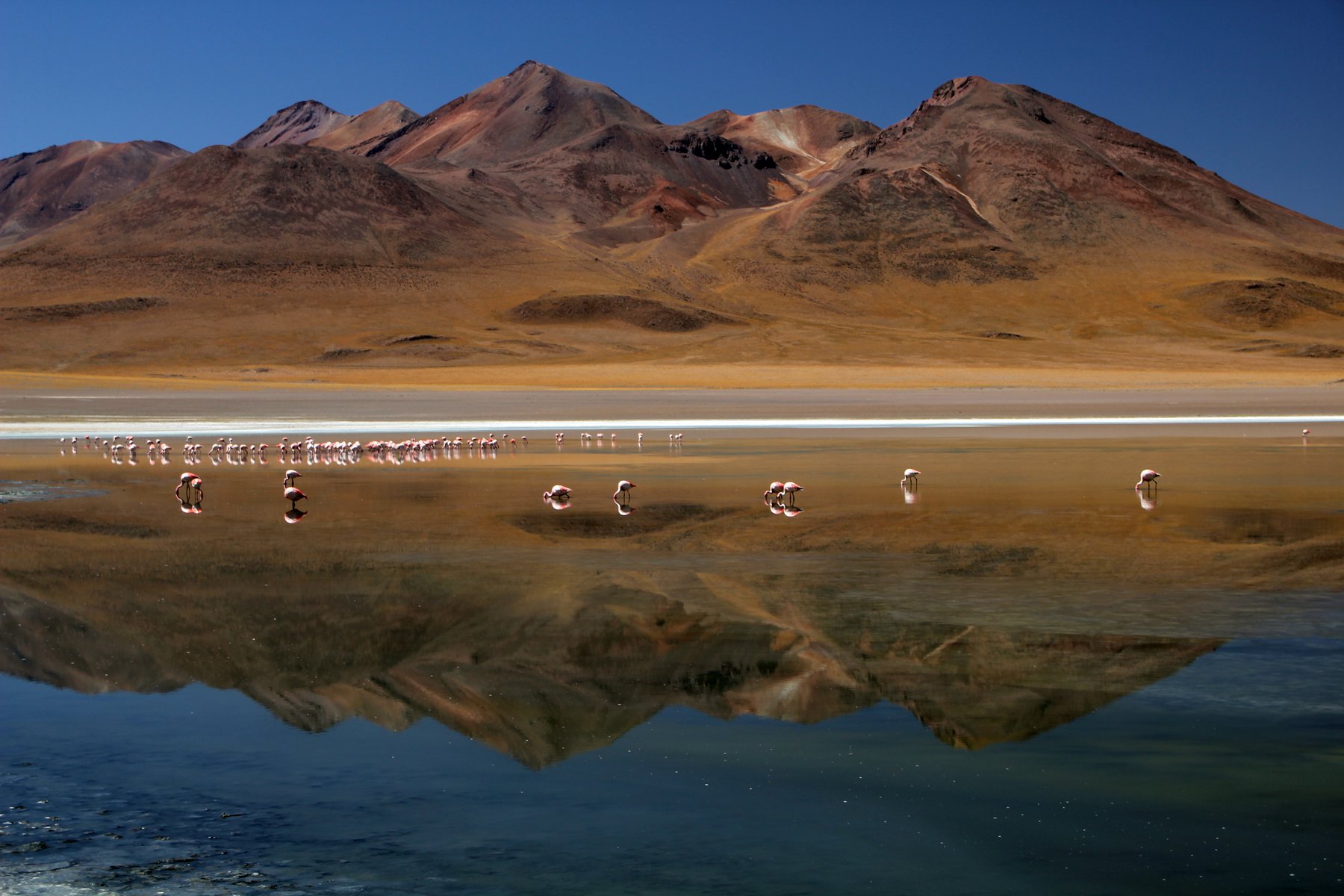 Laguna Canapa i Saltöknen