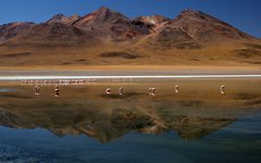 Laguna Canapa i Saltöknen