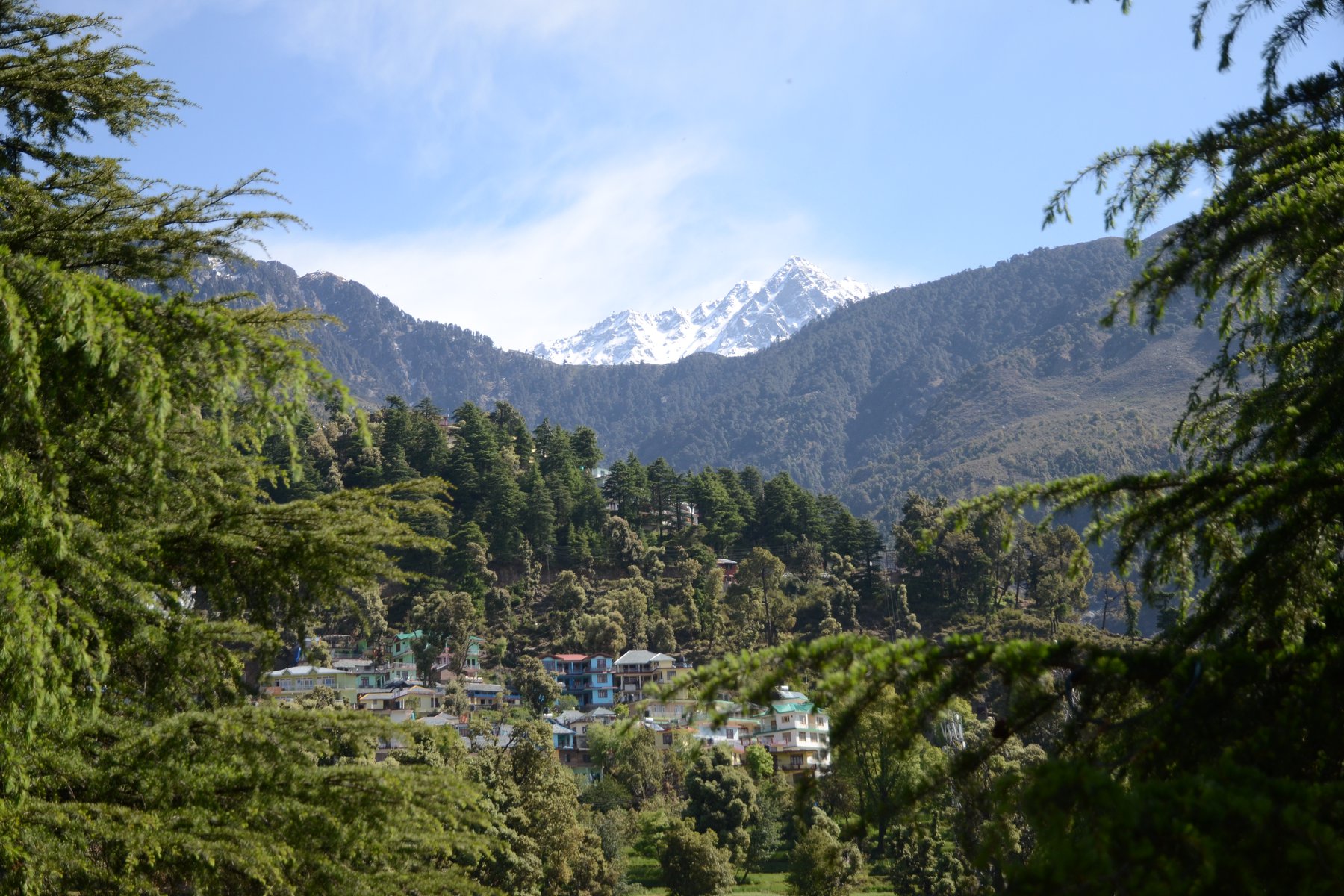 Dharamsala med sina vackra omgivningar