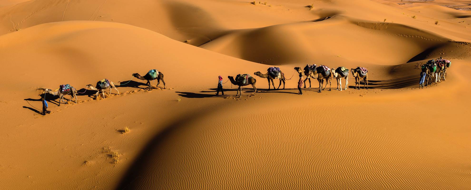 På kamelrygg i Erg Chebbi