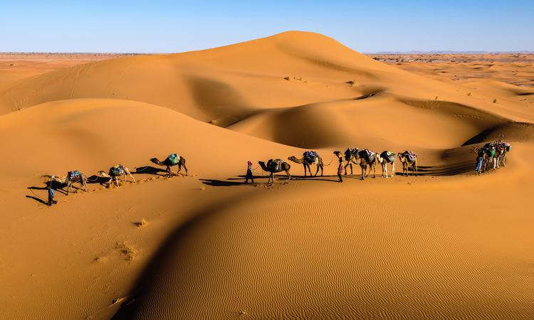 På kamelrygg i Erg Chebbi