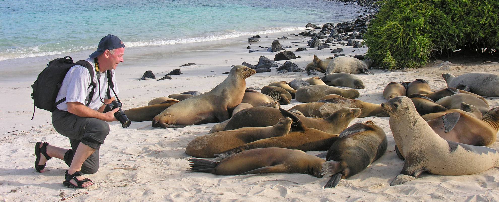 Djuren på Galapagos är inte rädda för människor