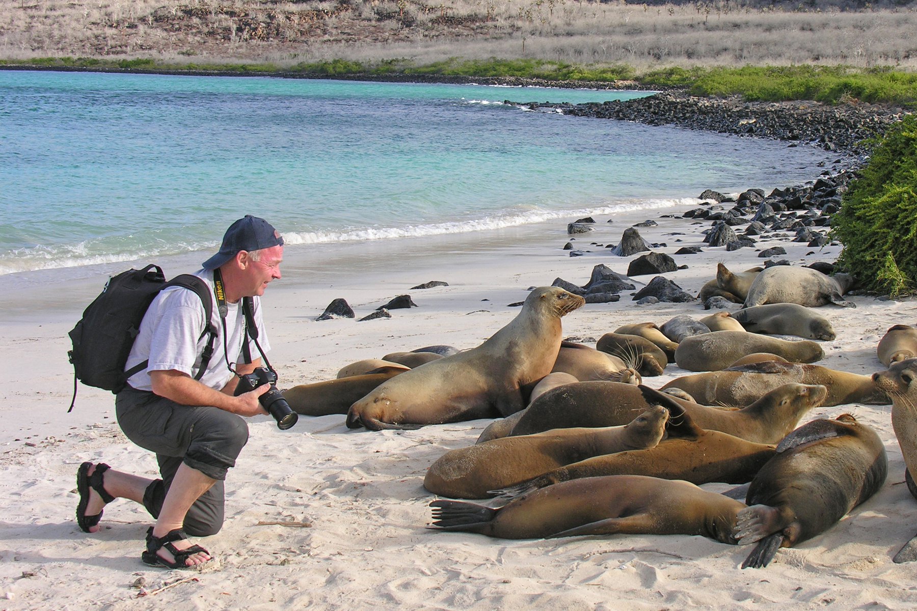 Djuren på Galapagos är inte rädda för människor