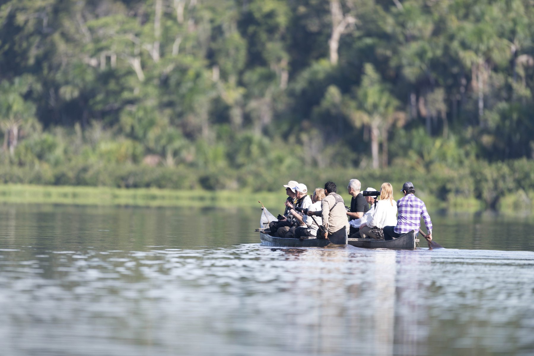 På spaning efter djur i Amazonas