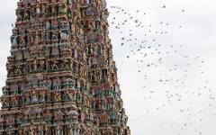 Madurai med Indiens största tempel, Shree Meenakshi