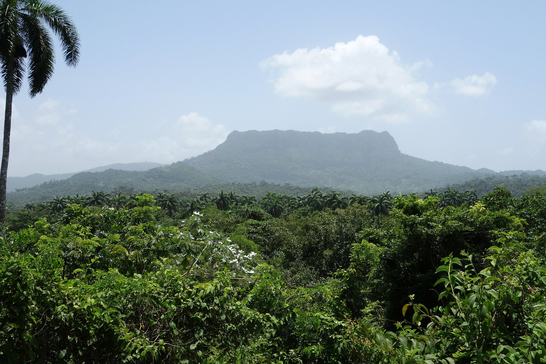 Bestig berget El Yunque i Baracoa