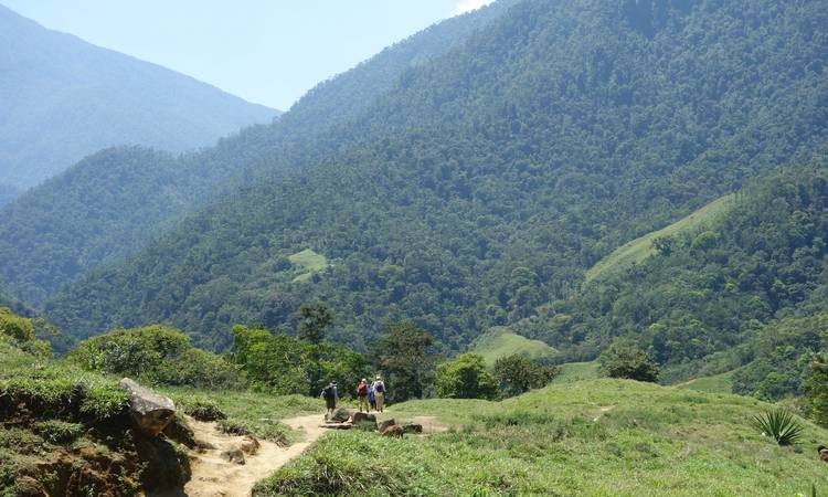 Vandringen till Ciudad Perdida är en spektakulär naturupplevelse