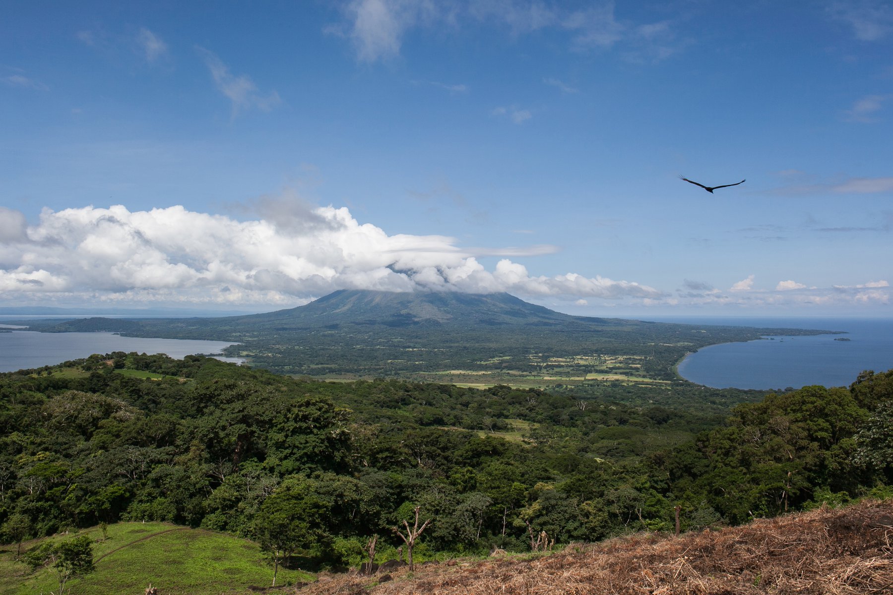 Utsikt över den aktiva vulkanen Concepción
