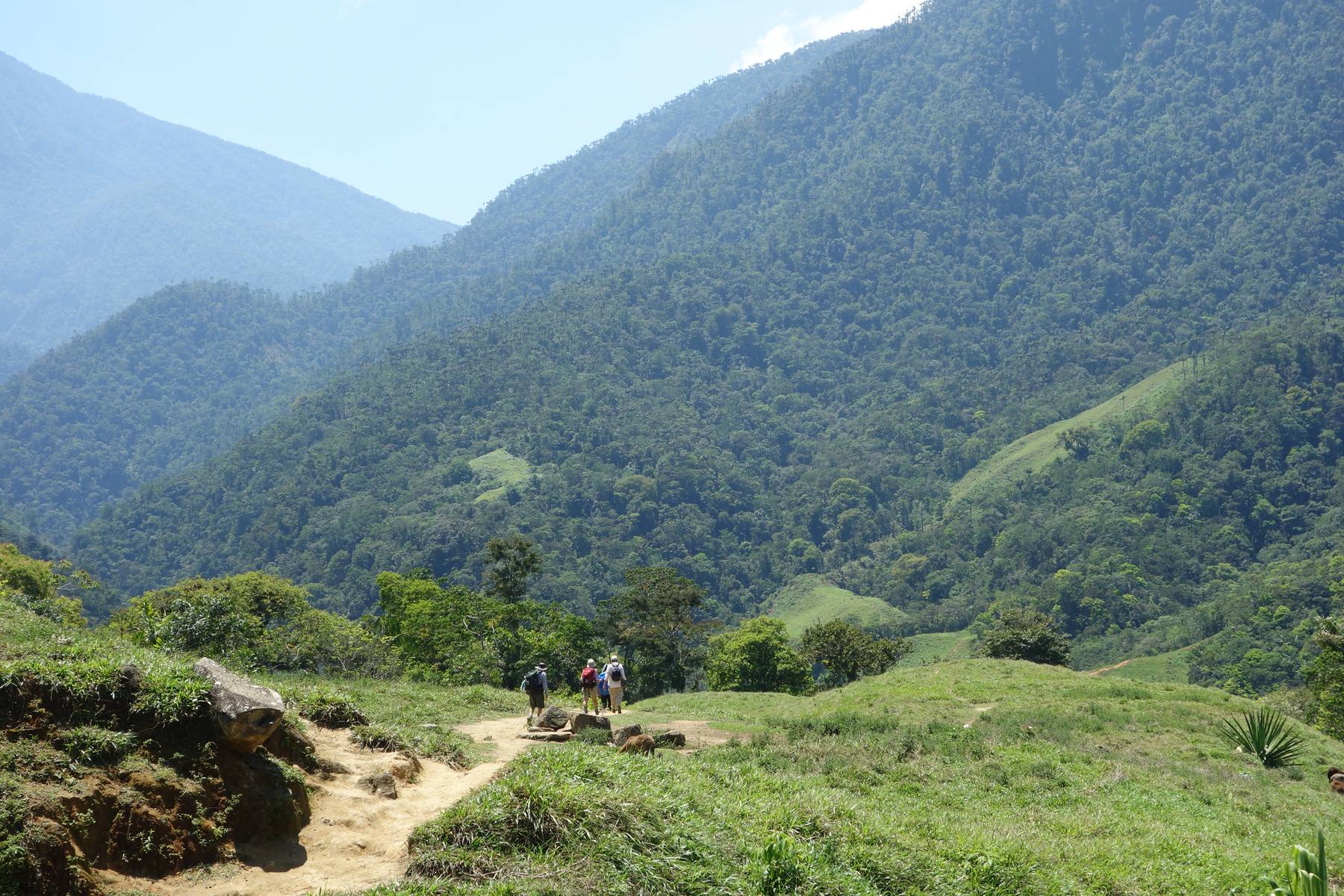 Vandringen till Ciudad Perdida är en spektakulär naturupplevelse