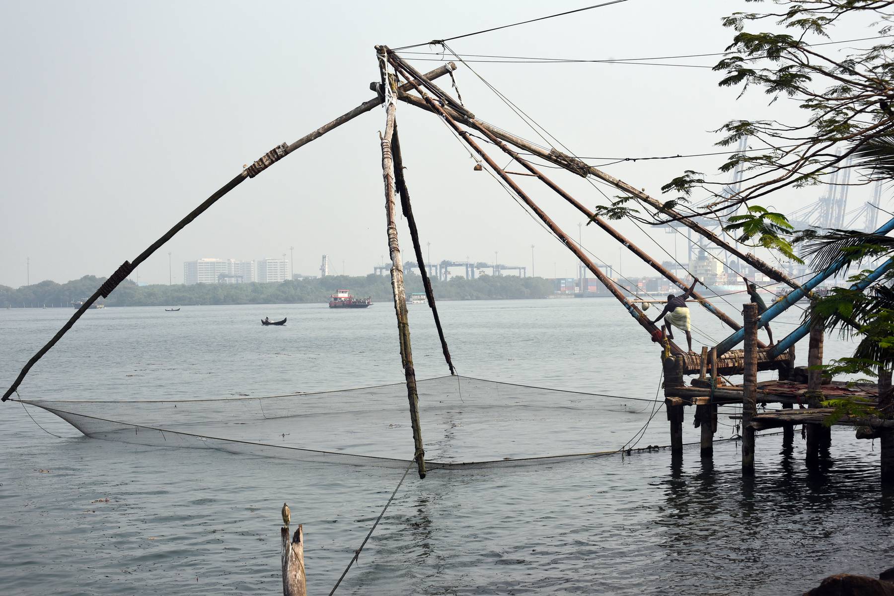 Prova på att fiska med kinesiska fiskenät i Kochi