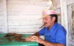 Äkta kubanska cigarrer rullar man för hand