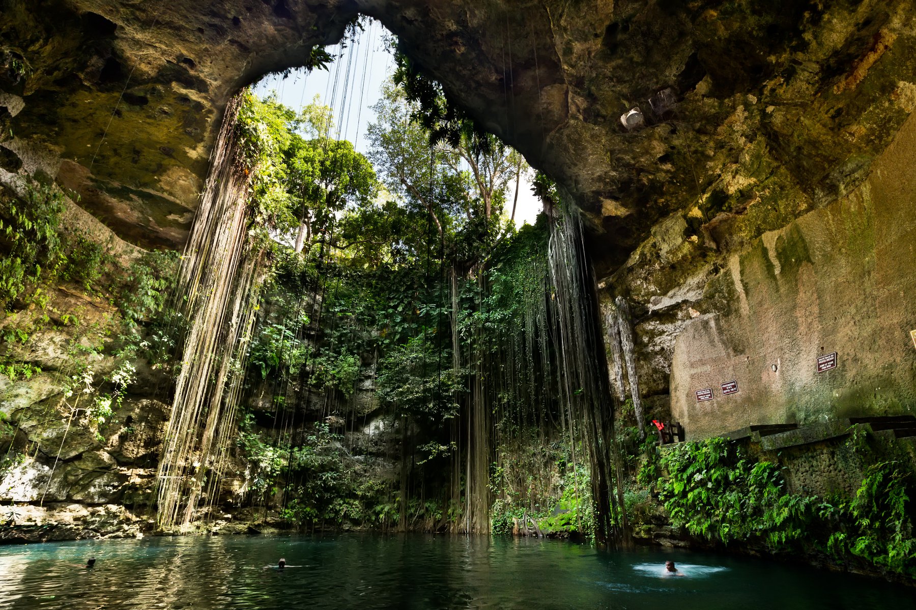 Avkoppling i en cenote