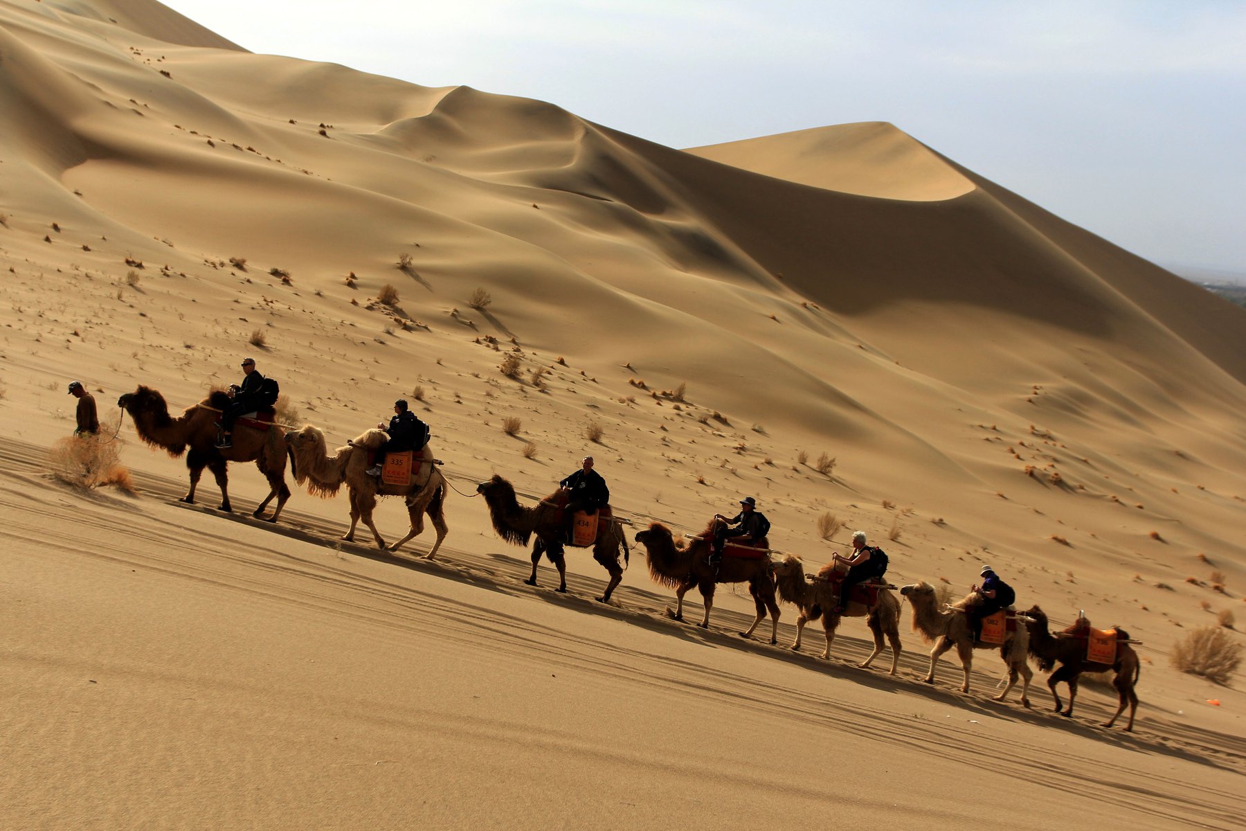 Äventyr i öknen nära Dunhuang