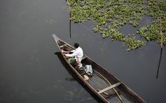 Lugnt och harmoniskt på ön Majuli