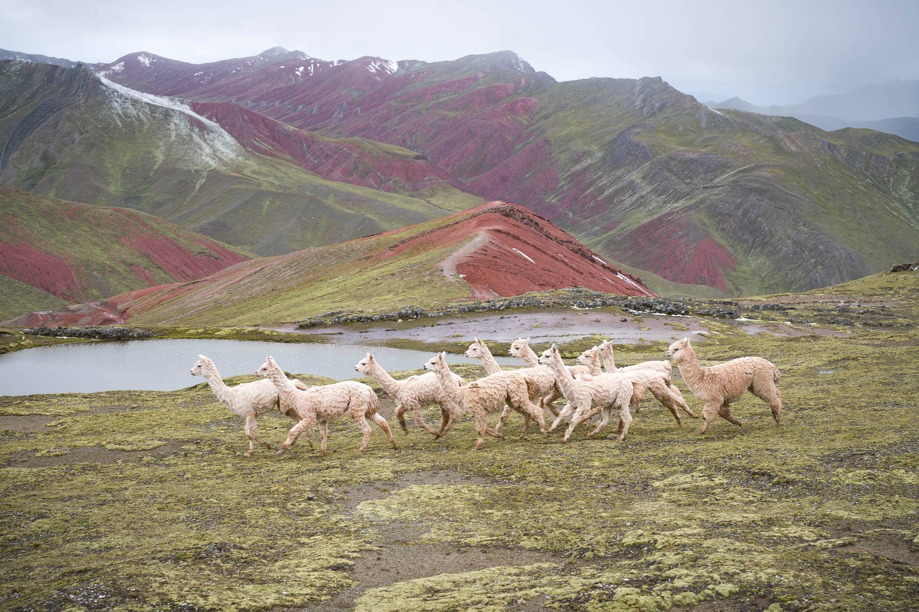 En av dina fria dagar i Cusco kan du göra en utflykt till regnbågsbergen