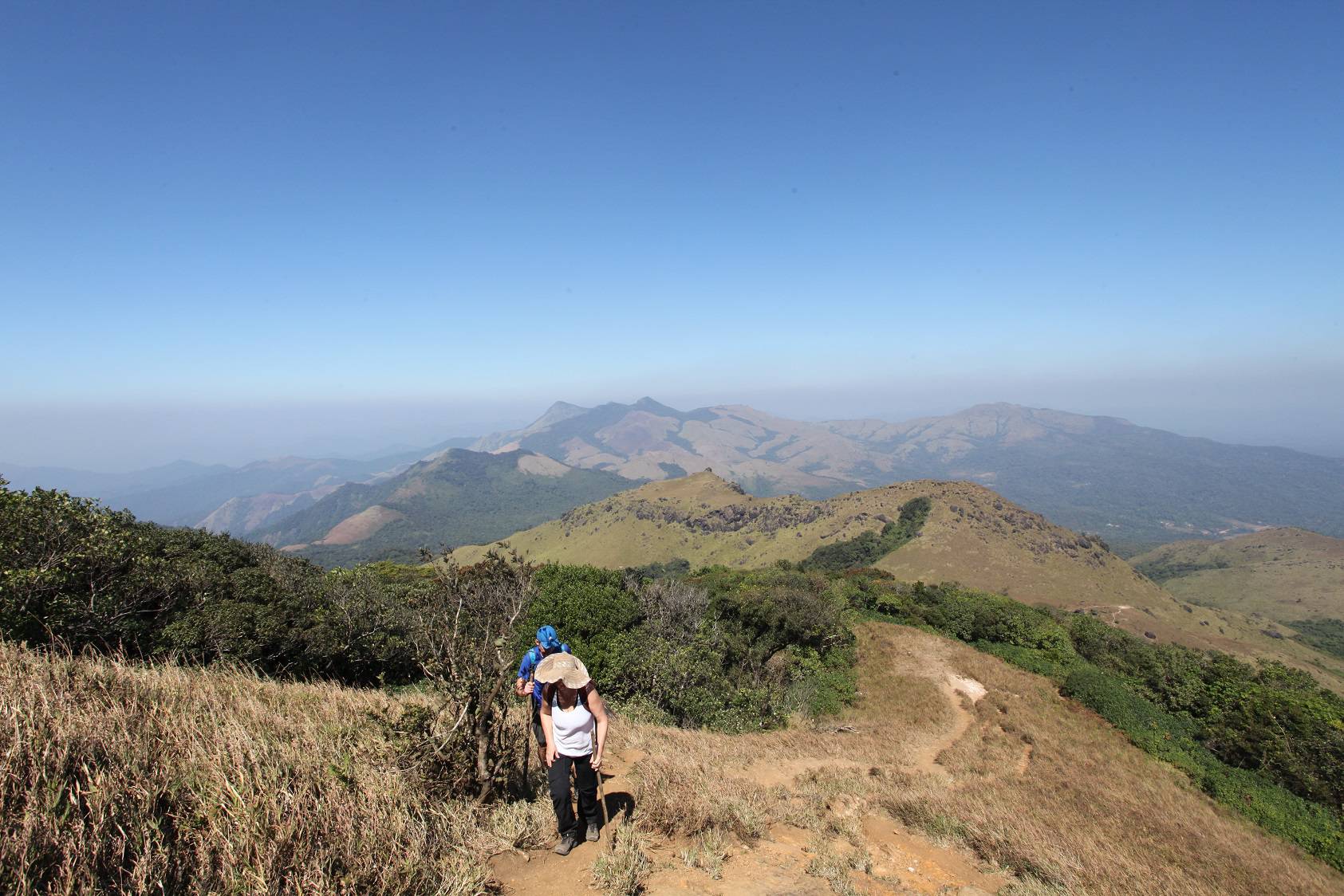 Tidig vandring vid Munnar